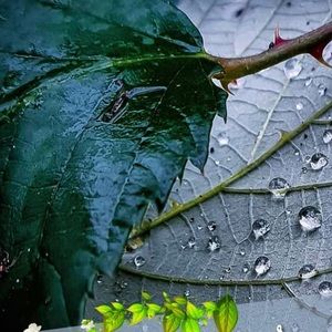 Meet your Posher, Noora